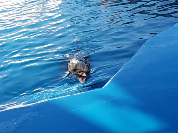 仙台うみの杜水族館に投稿された画像（2020/8/19）