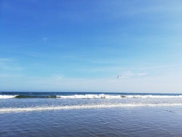 蓮沼ウォーターガーデンに投稿された画像（2020/8/19）