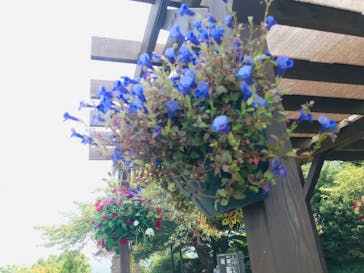 伊豆パノラマパークに投稿された画像（2020/8/19）