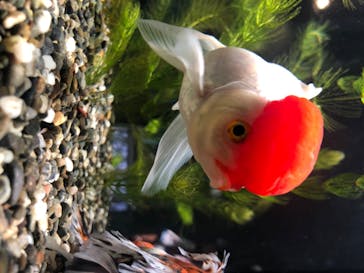 マリンワールド海の中道に投稿された画像（2020/8/19）