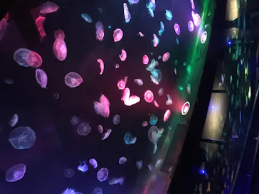 すみだ水族館に投稿された画像（2020/8/19）