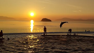 四国水族館に投稿された画像（2020/8/19）