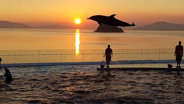 四国水族館に投稿された画像（2020/8/19）