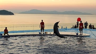 四国水族館に投稿された画像（2020/8/19）