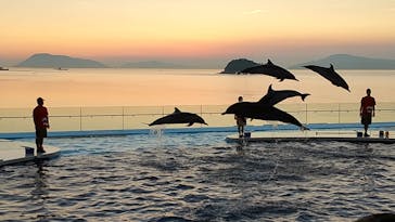 四国水族館に投稿された画像（2020/8/19）