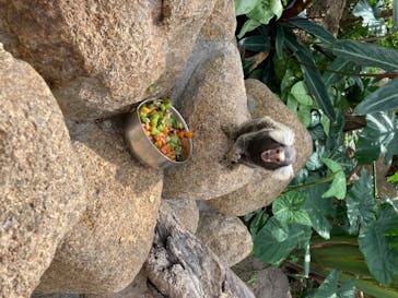 神戸どうぶつ王国に投稿された画像（2020/8/19）