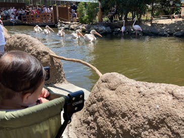 神戸どうぶつ王国に投稿された画像（2020/8/19）