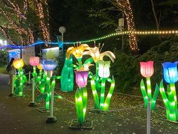 としまえんに投稿された画像（2020/8/19）