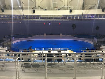 マリンワールド海の中道に投稿された画像（2020/8/20）