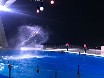 マリンワールド海の中道に投稿された画像（2020/8/20）