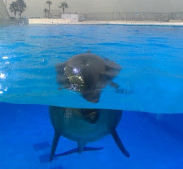 マリンワールド海の中道に投稿された画像（2020/8/20）