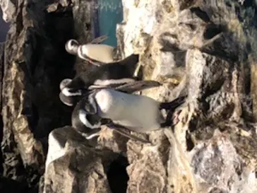 すみだ水族館に投稿された画像（2020/8/20）