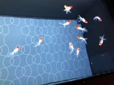 すみだ水族館に投稿された画像（2020/8/20）