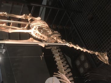 国立科学博物館に投稿された画像（2020/8/20）