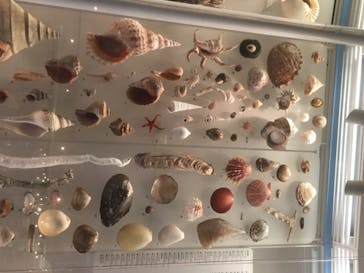 国立科学博物館に投稿された画像（2020/8/20）