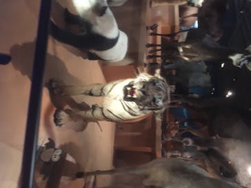 国立科学博物館に投稿された画像（2020/8/20）