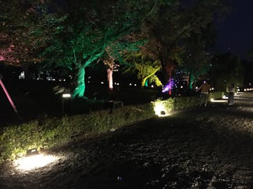 二条城×ネイキッド 二条城夏まつり2021に投稿された画像（2020/8/20）