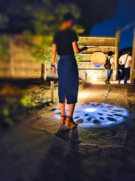 二条城×ネイキッド 二条城夏まつり2021に投稿された画像（2020/8/20）