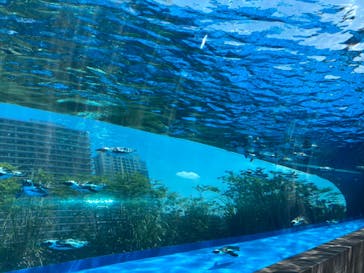 サンシャイン水族館に投稿された画像（2020/8/20）