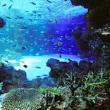 サンシャイン水族館に投稿された画像（2020/8/20）