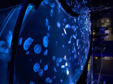 すみだ水族館に投稿された画像（2020/8/20）