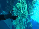 仙台うみの杜水族館に投稿された画像（2020/8/20）