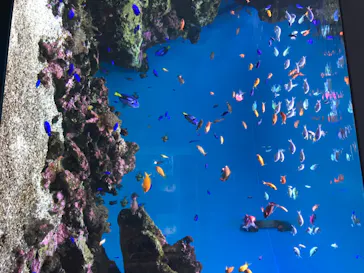 仙台うみの杜水族館に投稿された画像（2020/8/20）