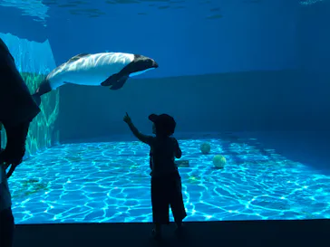 仙台うみの杜水族館に投稿された画像（2020/8/20）