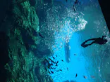 仙台うみの杜水族館に投稿された画像（2020/8/20）