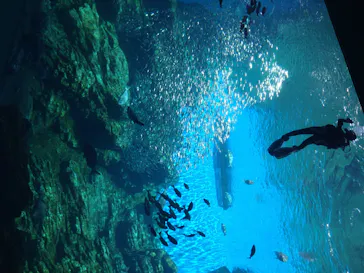 仙台うみの杜水族館に投稿された画像（2020/8/20）