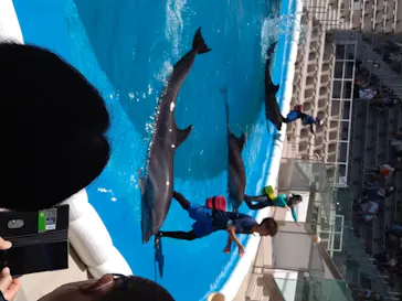 仙台うみの杜水族館に投稿された画像（2020/8/20）