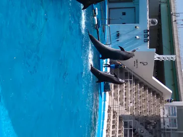 仙台うみの杜水族館に投稿された画像（2020/8/20）