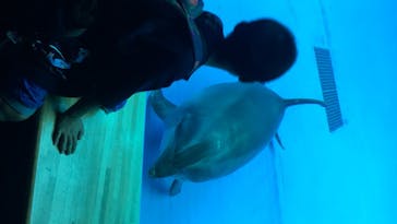 アクアワールド茨城県大洗水族館に投稿された画像（2020/8/20）