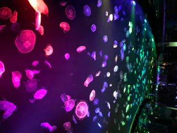 すみだ水族館に投稿された画像（2020/8/20）