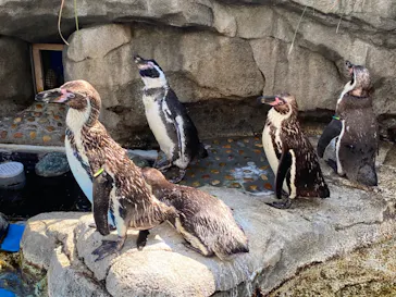 仙台うみの杜水族館に投稿された画像（2020/8/20）