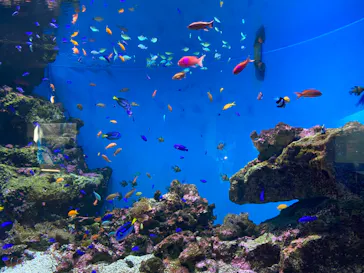 仙台うみの杜水族館に投稿された画像（2020/8/20）