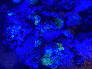 仙台うみの杜水族館に投稿された画像（2020/8/20）