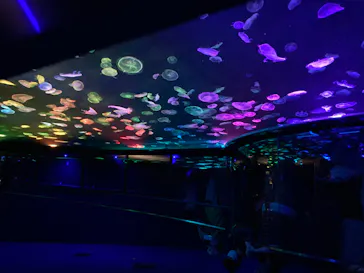 すみだ水族館に投稿された画像（2020/8/20）