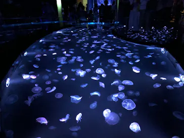 すみだ水族館に投稿された画像（2020/8/20）