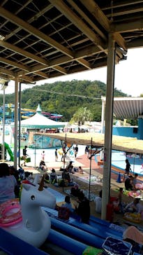 日本モンキーパークに投稿された画像（2020/8/20）