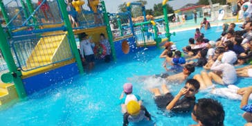 日本モンキーパークに投稿された画像（2020/8/20）