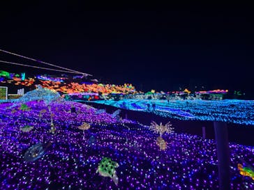 伊豆ぐらんぱる公園に投稿された画像（2020/8/20）