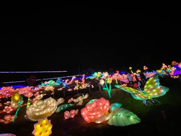 伊豆ぐらんぱる公園に投稿された画像（2020/8/20）