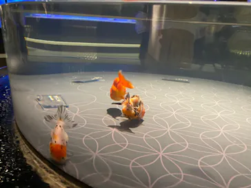 すみだ水族館に投稿された画像（2020/8/20）