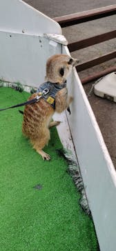 那須ハイランドパークに投稿された画像（2020/8/20）