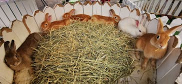 那須ハイランドパークに投稿された画像（2020/8/20）