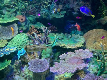 サンシャイン水族館に投稿された画像（2020/8/20）