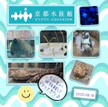 京都水族館に投稿された画像（2020/8/21）