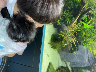 すみだ水族館に投稿された画像（2020/8/20）