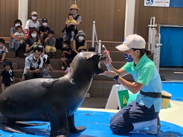 サンシャイン水族館に投稿された画像（2020/8/20）